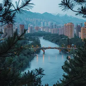 美食教程粤菜鱿鱼