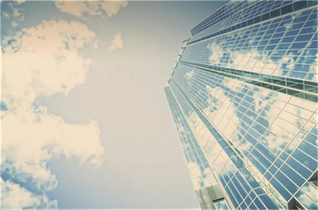 杨梅苦瓜美食教程